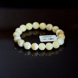 C000238黃金硨磲