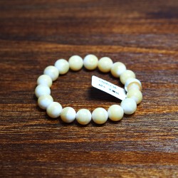 C000238黃金硨磲