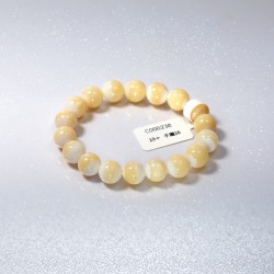 C000238黃金硨磲